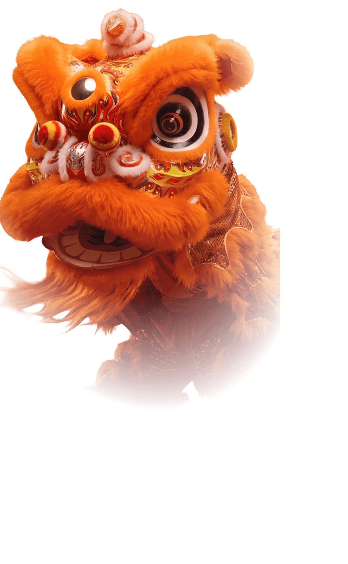 Vietnamese Lion Dance
