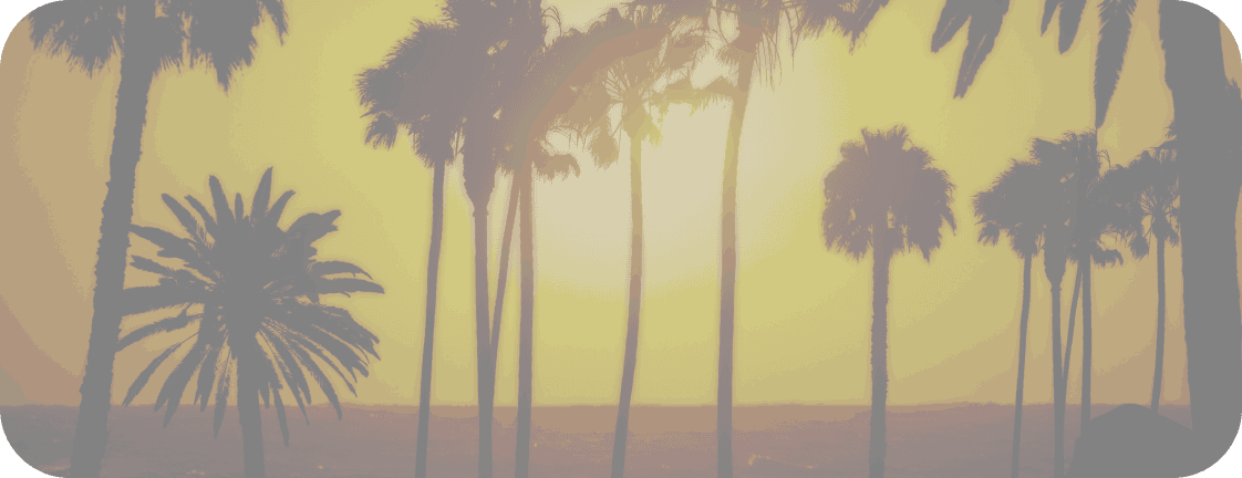 Southern California palm trees at sunset